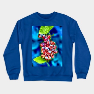 Grapes Crewneck Sweatshirt